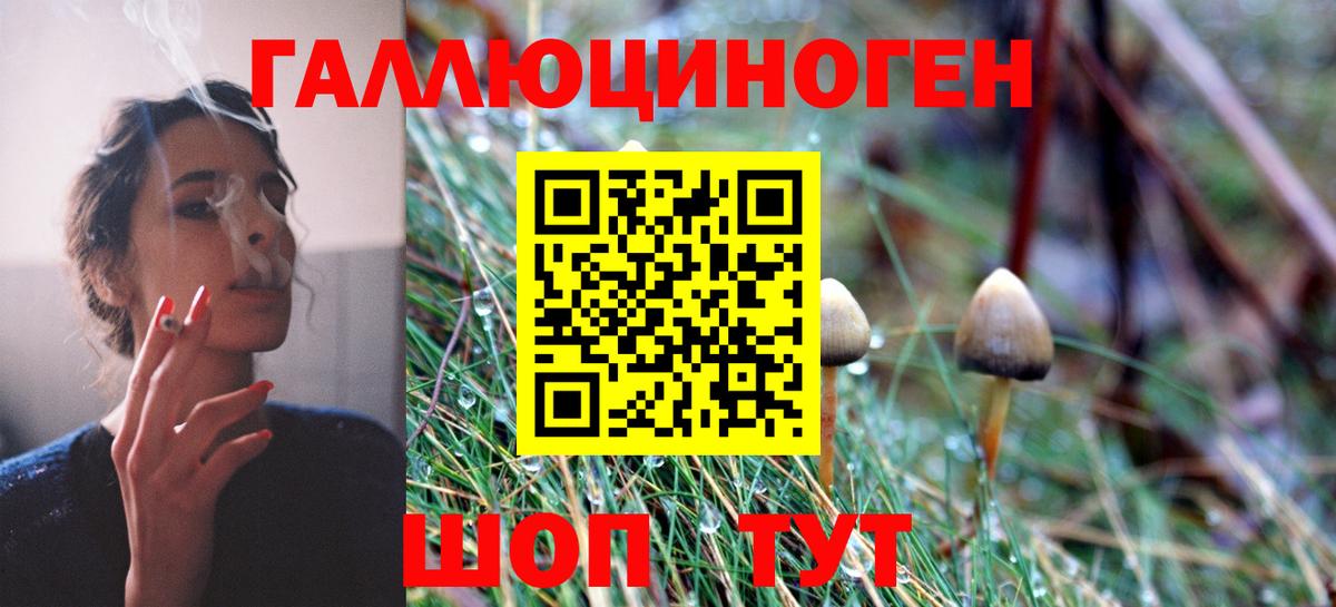Мценск  Галлюциногенные грибы Magic Shrooms  Псилоцибиновые грибы мухоморы  Вход с VPN 